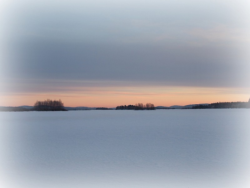 Onnea ja menestystä uudelle vuodelle!